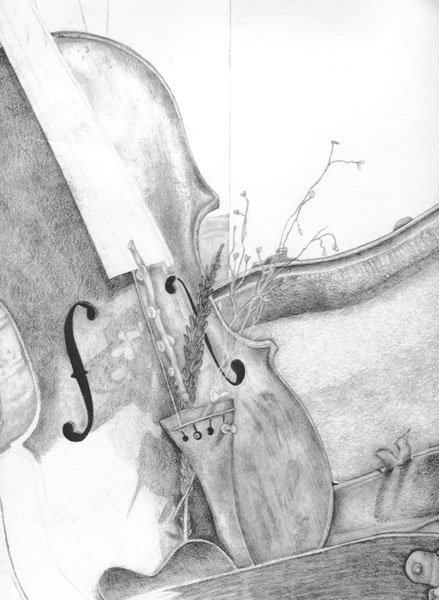 Violin